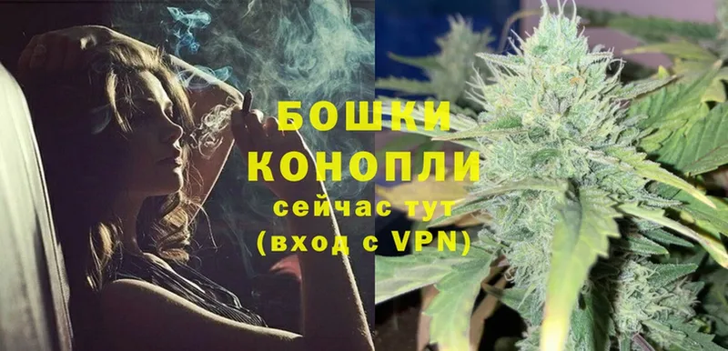 как найти закладки  Злынка  Шишки марихуана OG Kush 